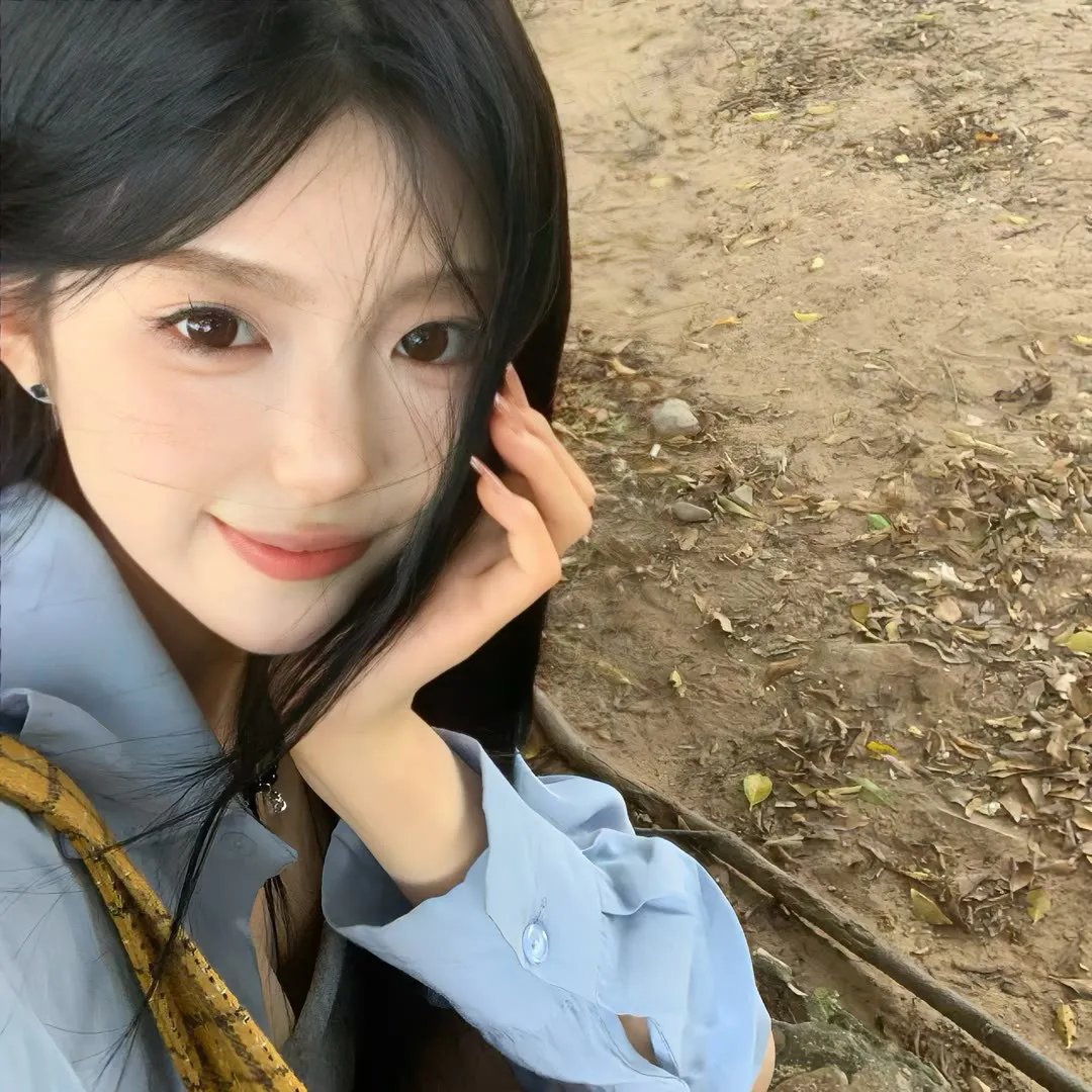 笨金鱼