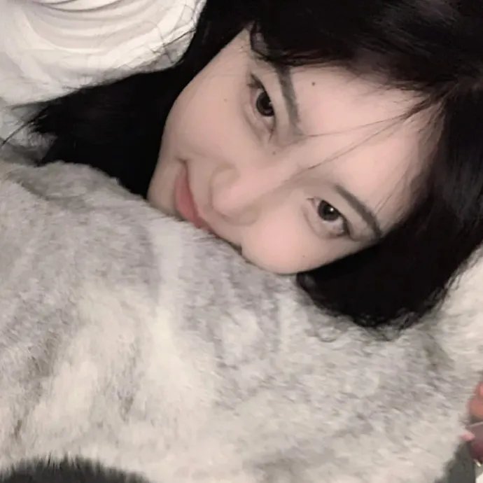 仙履奇缘2：美梦成真
